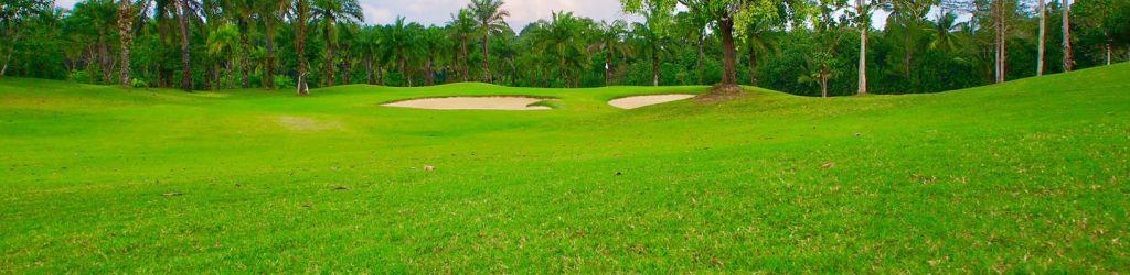 Hula Hula Golf Club cover image