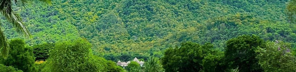 Palm Hills Golf Club cover image